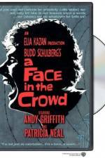 A Face in the Crowd