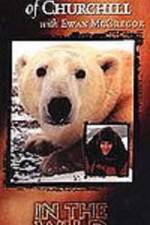 The Polar Bears of Churchill with Ewan McGregor