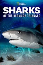 Sharks of the Bermuda Triangle (TV Special 2020)