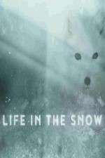 Life in the Snow