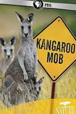 Kangaroo Mob