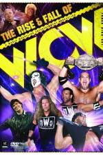 WWE The Rise and Fall of WCW