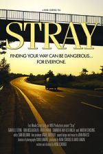 Stray