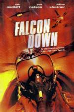 Falcon Down