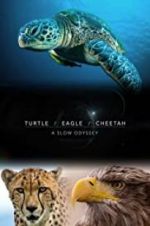 Turtle, Eagle, Cheetah: A Slow Odyssey