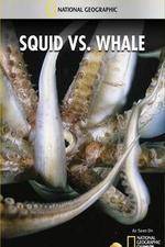 National Geographic Wild - Squid Vs Whale