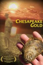 Chesapeake Gold