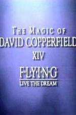 The Magic of David Copperfield XIV Flying - Live the Dream