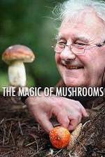 The Magic of Mushrooms