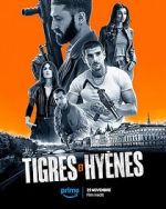 Tigres et Hynes