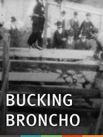 Bucking Broncho