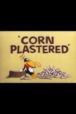 Corn Plastered (Short 1951)