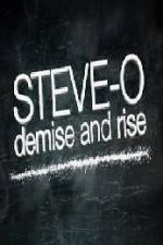 Steve-O Demise and Rise