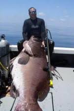 National Geographic: Monster Fish - Nile Giant