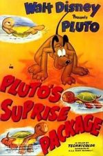 Pluto\'s Surprise Package