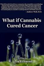 What If Cannabis Cured Cancer