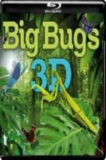 Big Bugs in 3D