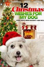 12 Christmas Wishes For My Dog