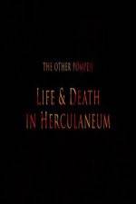 The Other Pompeii Life & Death in Herculaneum