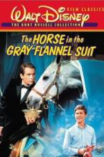 The Horse in the Gray Flannel Suit