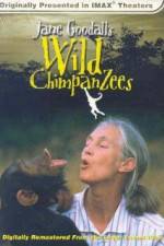 Jane Goodall's Wild Chimpanzees