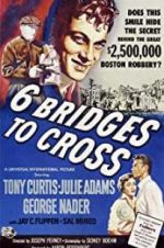 Six Bridges to Cross