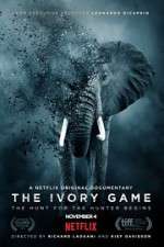 The Ivory Game