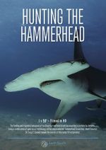 Hunting the Hammerhead