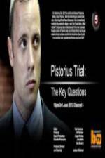 Pistorius Trial: The Key Questions