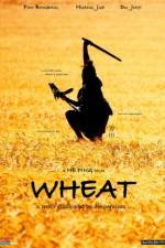 Wheat