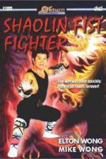 Shaolin Fist Fighter