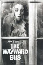 The Wayward Bus