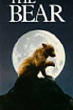 The Bear - (L'ours)