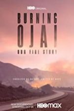 Burning Ojai: Our Fire Story