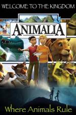 Animalia: Welcome To The Kingdom