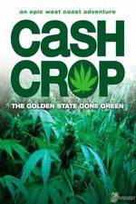 Cash Crop