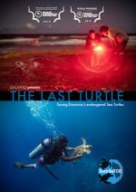 The Last Turtle (Short 2019)