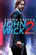 John Wick Chapter 2: Wick-vizzed