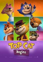 Top Cat Begins