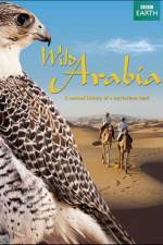 Wild Arabia