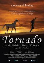 Tornado and the Kalahari Horse Whisperer