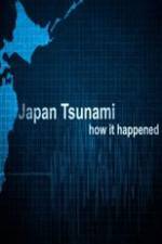 Japan Tsunami: How It Happened