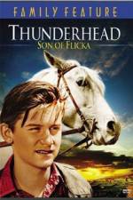 Thunderhead - Son of Flicka