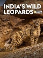 India\'s Wild Leopards (Short 2020)