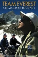 Team Everest: A Himalayan Journey