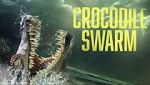 Crocodile Swarm