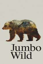 Jumbo Wild