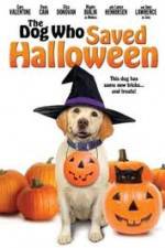 The Dog Who Saved Halloween