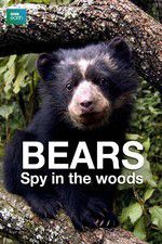 Bears: Spy in the Woods