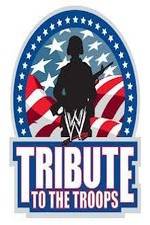 WWE Tribute to the Troops 2013